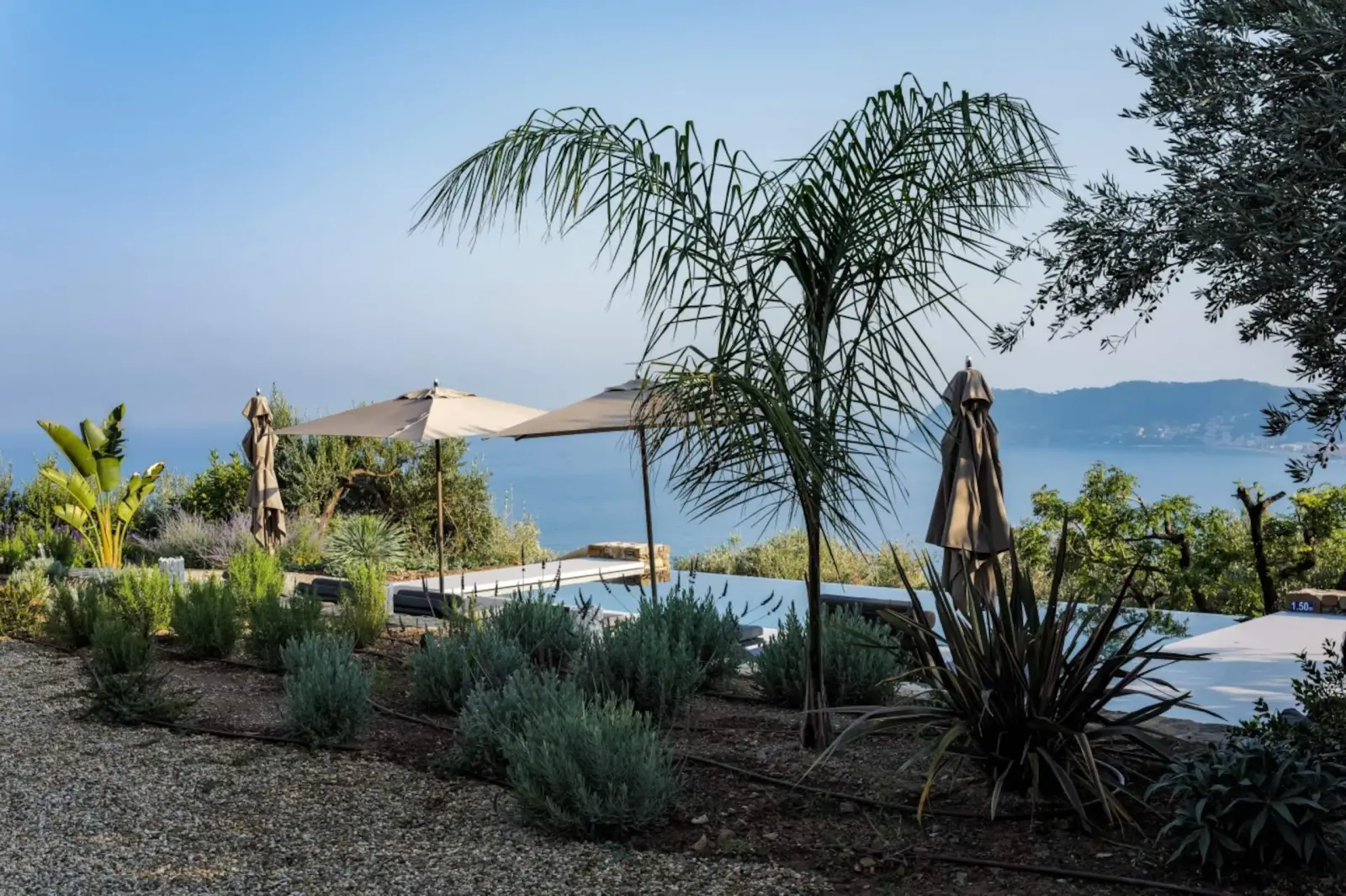 Piscine à débordement entre lavande et palmiers, la mer et le cap Mele en arrière-plan