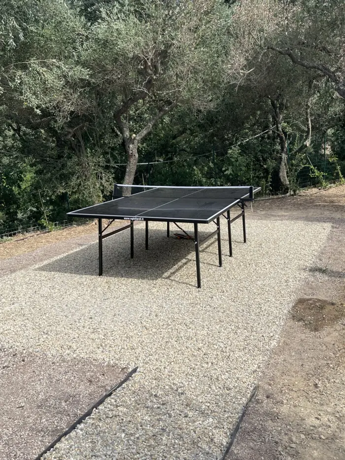Tavolo da ping-pong all'aperto su ghiaia, sotto gli ulivi