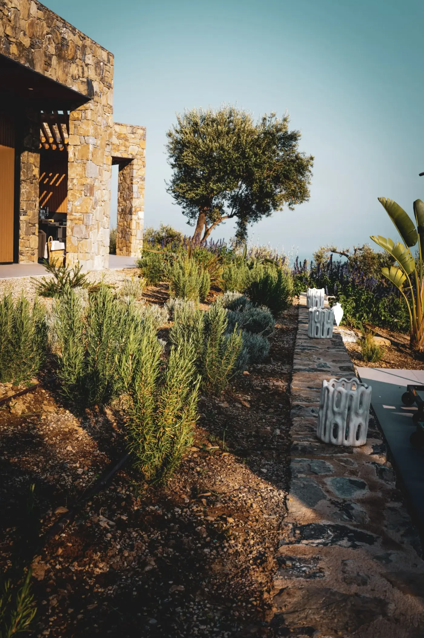 Piante mediterranee lungo il muro in pietra della villa, un ulivo e il mare sullo sfondo