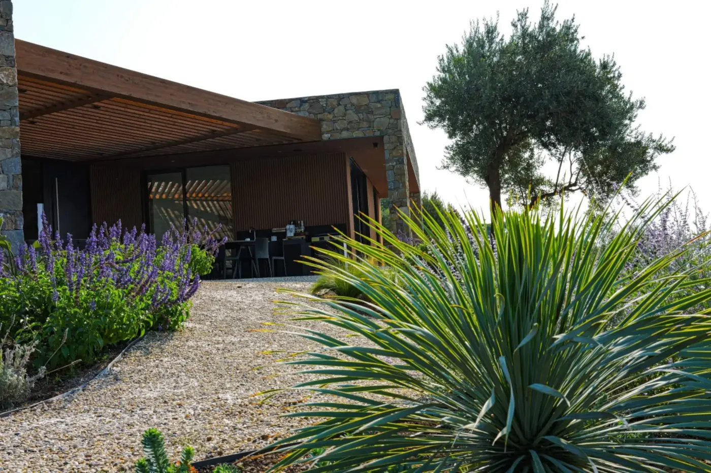 Il patio coperto della villa dietro la lavanda, un'agave e un ulivo
